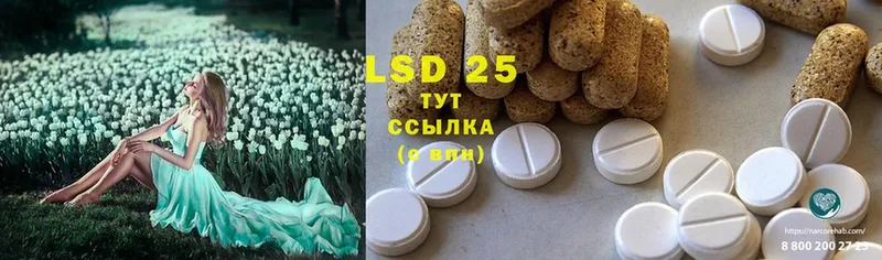 LSD-25 экстази ecstasy  Чкаловск 