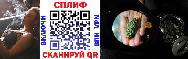 Бошки Шишки индика  где купить наркотик  Чкаловск 